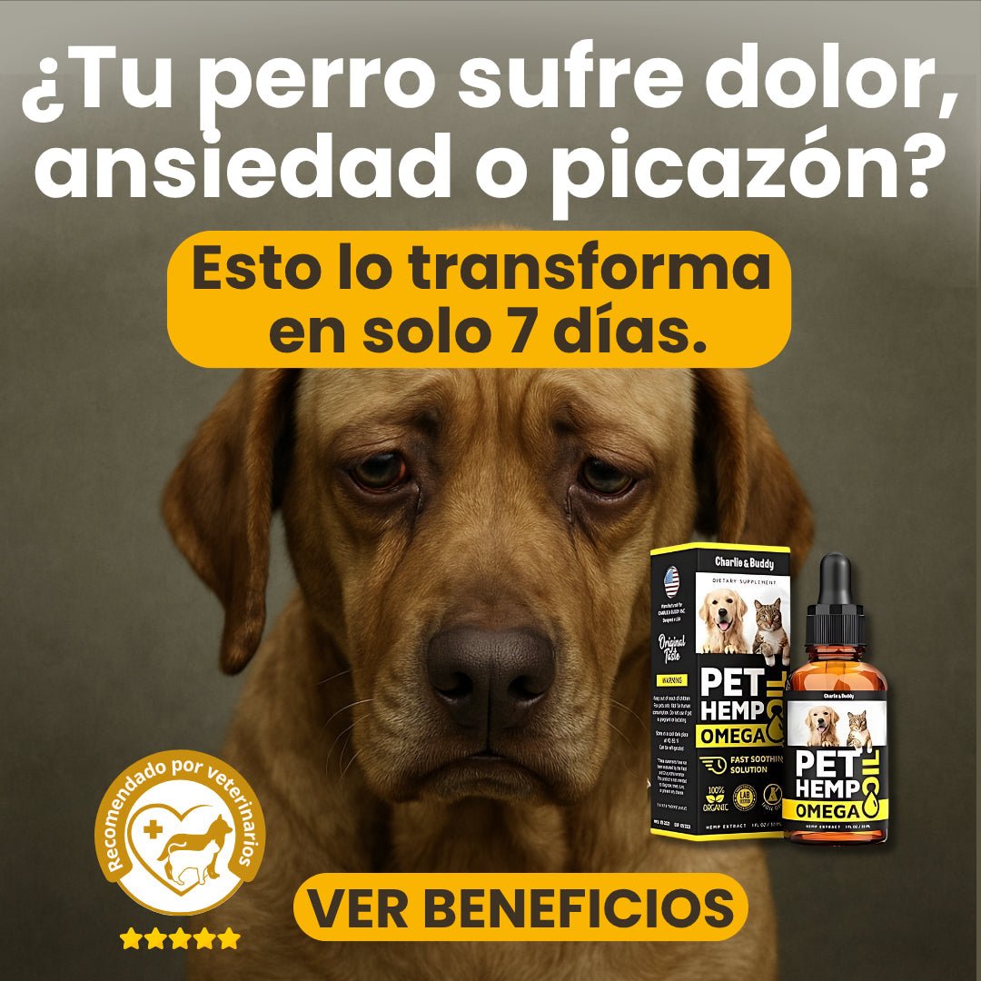 🐾 Omega Pet hemp - Vida en Casa
