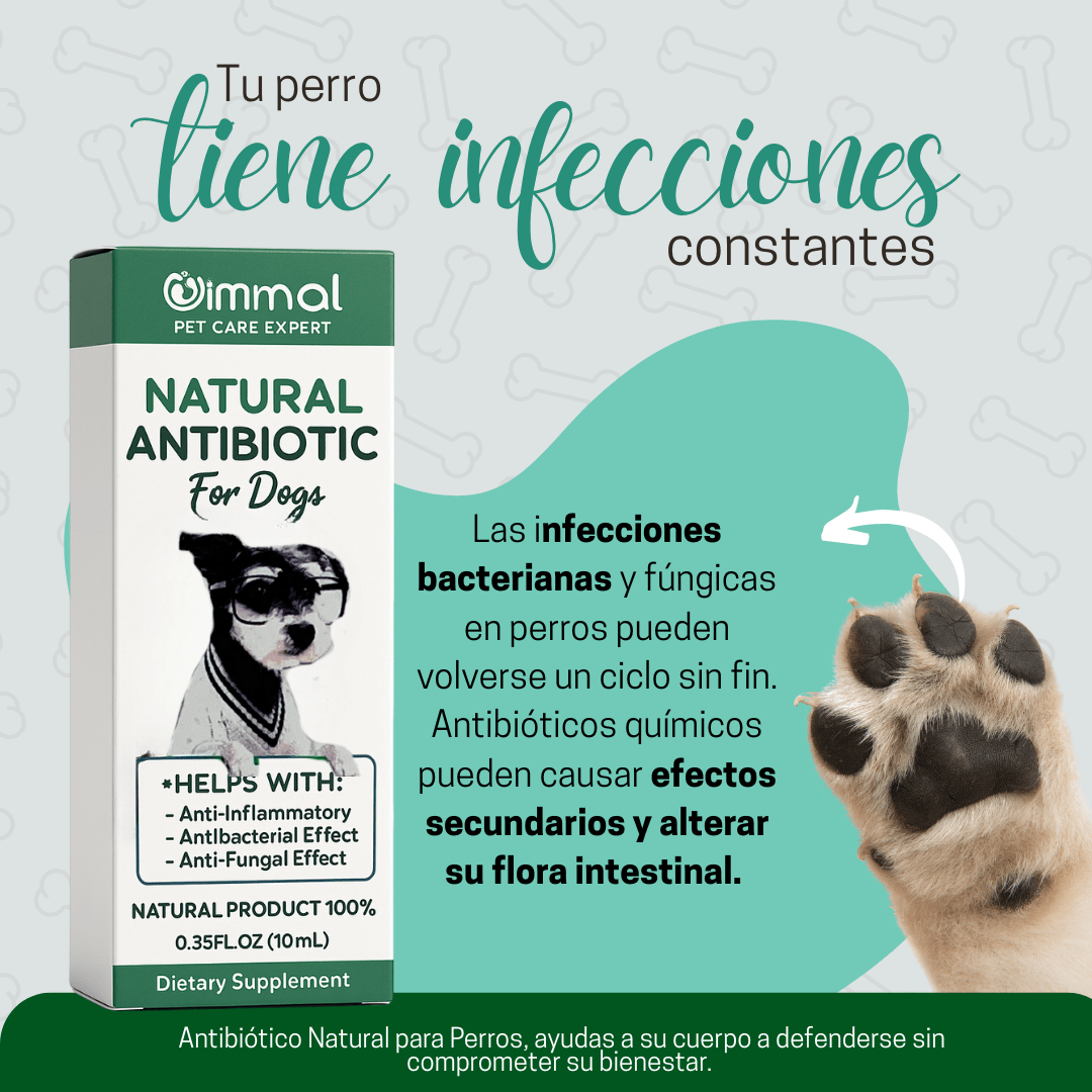 Probiotics 3 en 1 para Perros - Vida en Casa