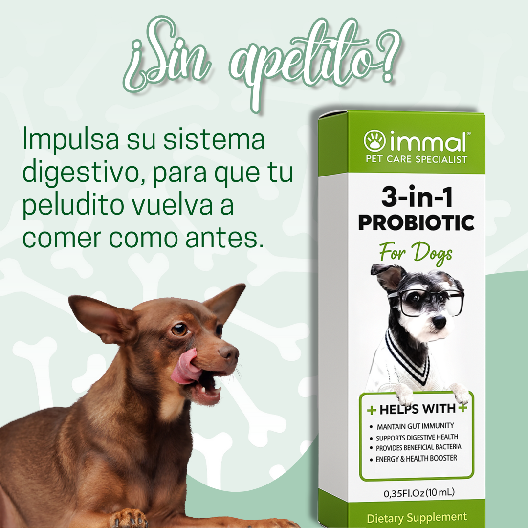 Encabezado