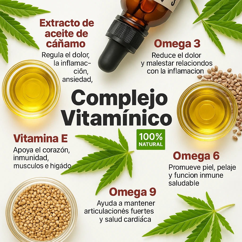 🐾 Omega Pet hemp - Vida en Casa