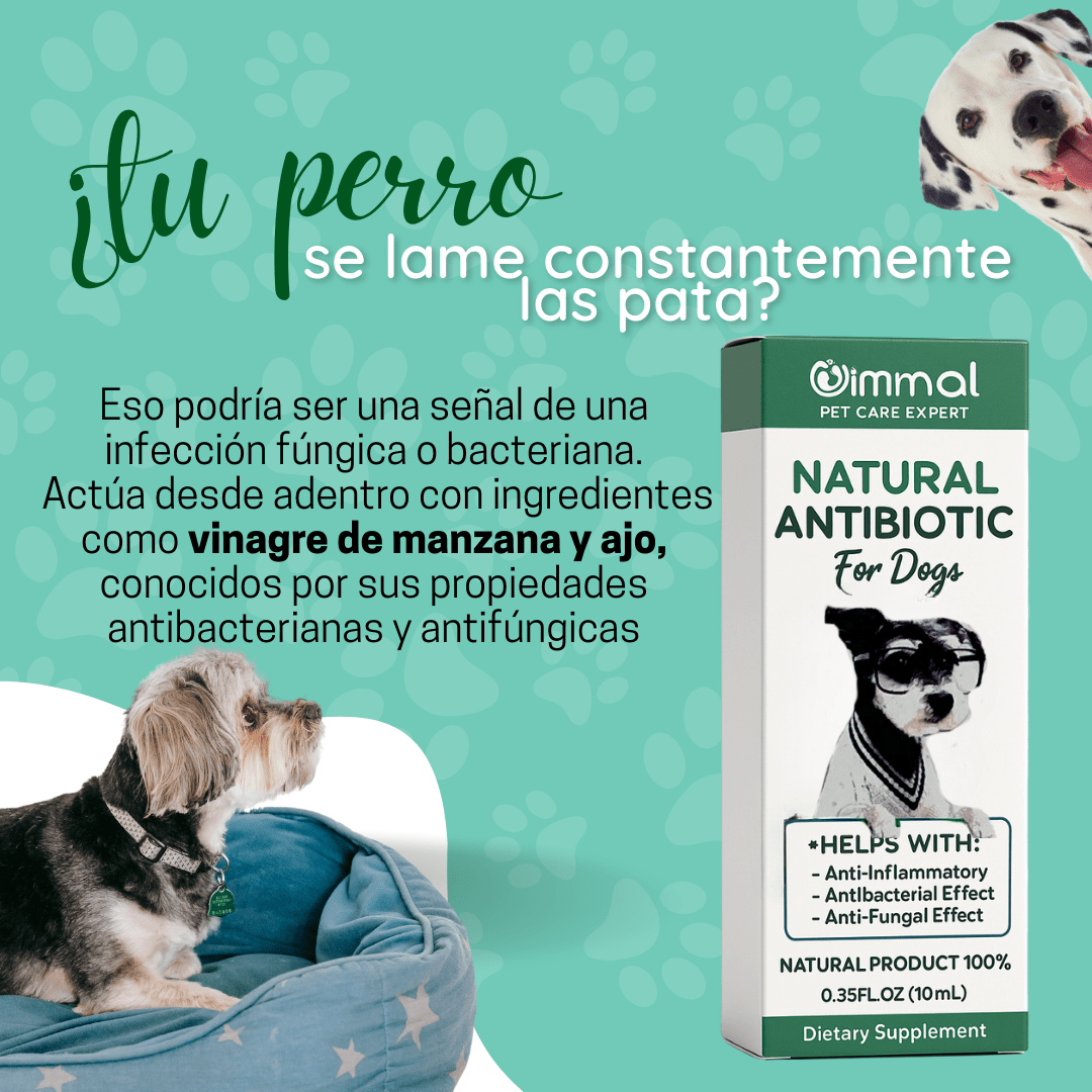 Probiotics 3 en 1 para Perros - Vida en Casa