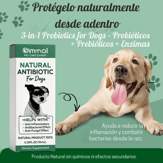 Probiotics 3 en 1 para Perros - Vida en Casa
